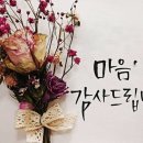 애정