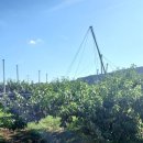 능주우체국 이미지