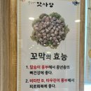 박은자맛사랑 영통점 이미지