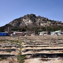 금곡마을회관 이미지