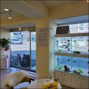 라이프독 이미지