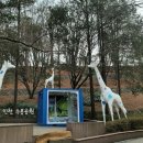 공주공원 공주공원 주차장 우측 이미지