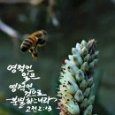 인일