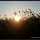 저녁노을 이미지