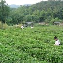 수로요，보천도예창조학교 이미지