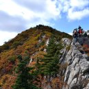 [정기산행] 2017년 10월 8일(일) 강원 고성군 금강산 제1봉 설악산 "신선봉(1,204m)" 산우님들을 초대합니다 이미지