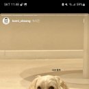 보미네옥상 이미지