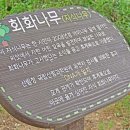 작은나무숲 이미지