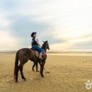 고창의 숨은 보물, 명사십리에서 즐기는 해변 승마 이미지