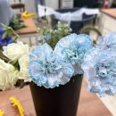 장미마트 이미지