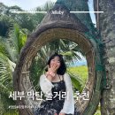 산호계절맛집 | 세부 스쿠버 다이빙 후 즐기는 막탄 놀거리 | 맛집 호핑투어 시티투어