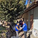 포남2동-12 이미지