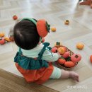 와이즈쿡