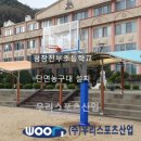 진부초등학교 | 평창진부초등학교 - 단면 농구대 설치