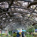 국립소록도병원 이미지