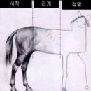 웃는 남자 도영 회차 관극 후기