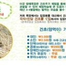 하늘닿은목장 이미지