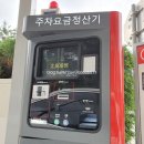 정기원영어학원 | 안양 초대형 키즈카페 애플트리 로라바운스 이용후기[키즈맘센터]