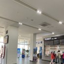 벌크커피목포해상