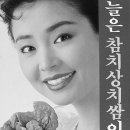 이참치