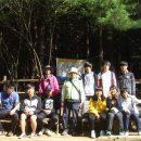 크린데이 이미지