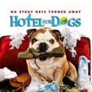 강아지 호텔 이미지