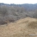 서구-02-115 이미지