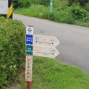 구례의길(남도이순신길) | 고성 만화방초, 장산 숲, 구례 남도 이순신길 백의종군로, 금신전선 상유십이-플랜 B를 찾아