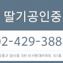 선사유치원(어린이집) 이미지