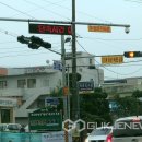 주정차-19 이미지