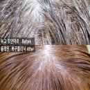 탄머리 복구 꺾인머리 복구매직 복구클리닉 전문 헤어살롱 반포미용실 신논현역미용실 이미지