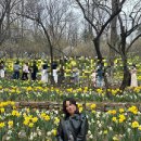 월 강좌(4월) / 한국무용 (초급-13시30분) | 화담숲 봄 수선화축제 개화상황 및 화담채 오픈 정보 총정리