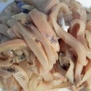 산천어양식장 Daum카페