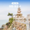 걸어가는 사람 | 부산 기장 가볼만한곳 해동용궁사 주차 입장료 소원연등 후기