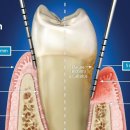 공단제일치과의원 이미지