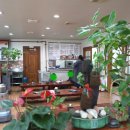 돈가명가 이미지