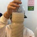 [속초 맛집] 속초시장 필수 코스! ‘현태네튀김’ 후기