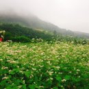 다래골농장 이미지