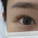 수아 | 속눈썹펌/포항속눈썹펌/포항속눈썹연장/수아봄/솔직후기