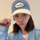 새올법률사무소 이미지