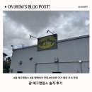 앤 | 괌 맛집 에그앤띵스 후기｜팬케이크 솔직 리뷰 (아쉬움)