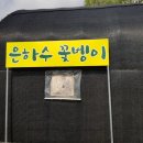 은하수꽃벵이