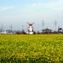 대부도해양본부 이미지