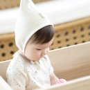 세나스토리