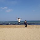 비취 이미지