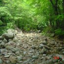 백천계곡 이미지