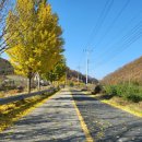 수곡용계로(길안면) 이미지