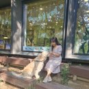 책달샘숲속작은도서관 이미지