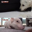 복남 농장 이미지