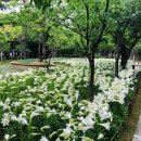 서구청소년수련관 주차장 이미지